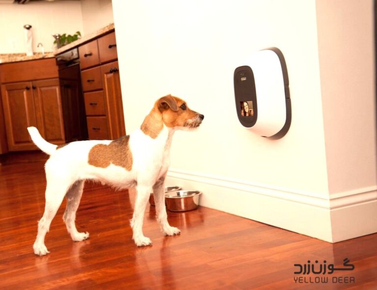ویژگی های خانه هوشمند برای حیوانات خانگی-گوزن زرد